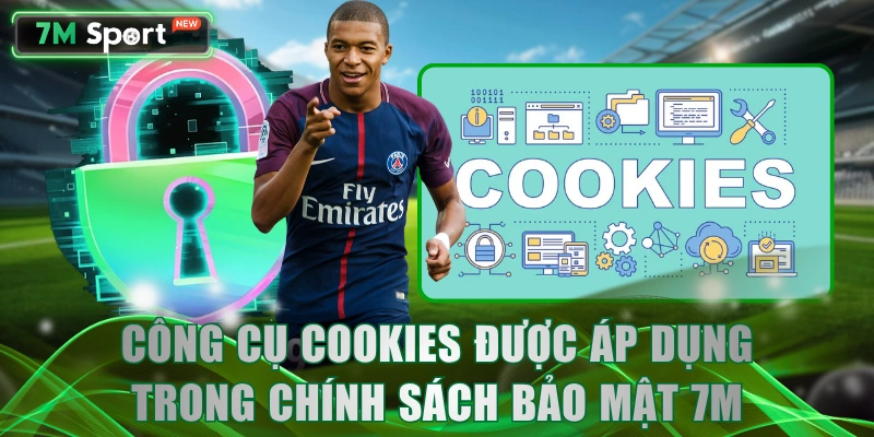 Công cụ cookies được áp dụng trong chính sách bảo mật 7M